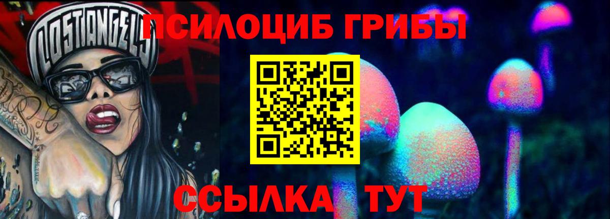 Псилоцибиновые грибы Psilocybe  Вход с VPN  Кувандык 